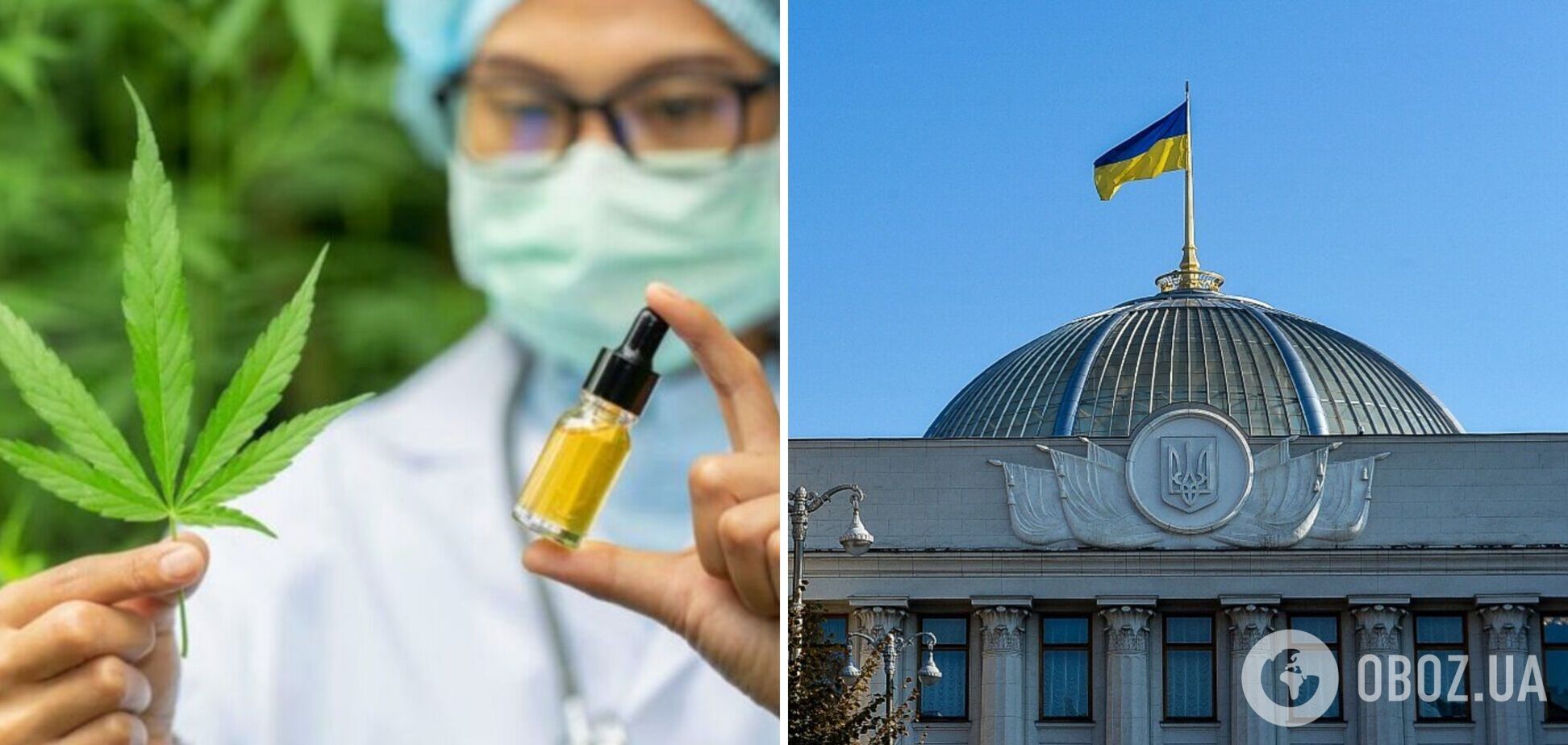 Депутаты Рады поддержали законопроект о медицинском каннабисе: что предусматривает