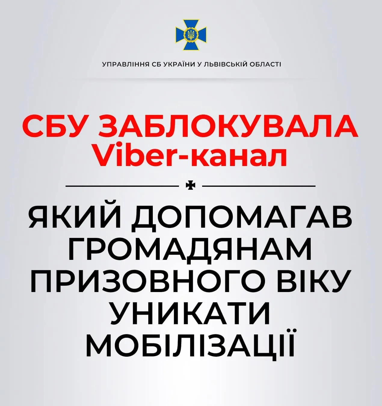 СБУ заблокировала Viber-канал, который помогал мужчинам во Львовской области избегать мобилизации