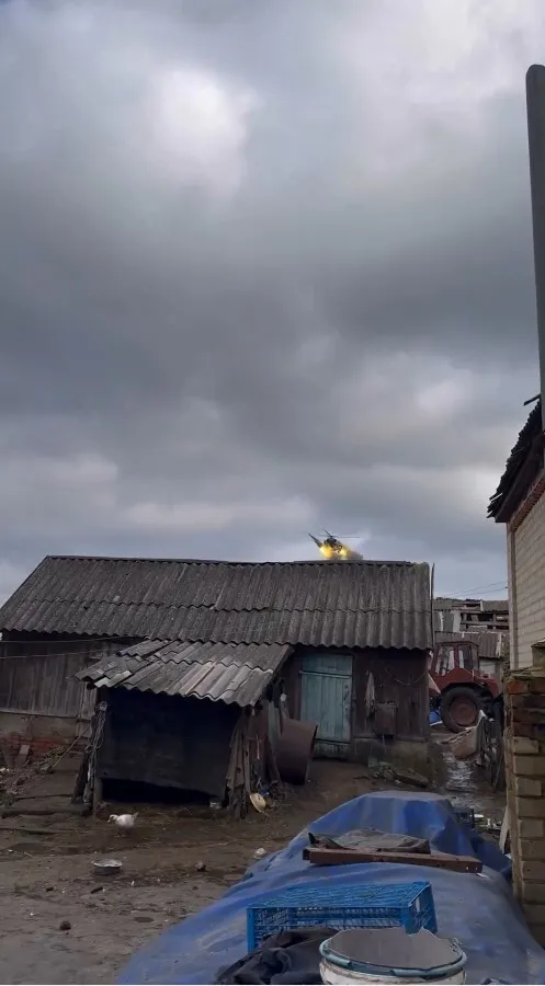 По двору бегают животные, а рядом бьет авиация: сеть взбудоражило видео из села на Харьковщине