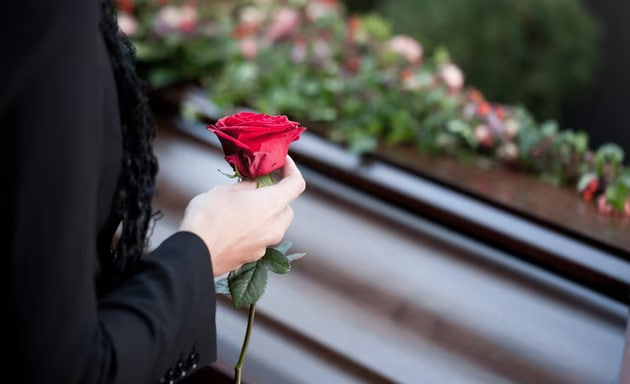 photo_2024-11-08_15-55-47-1