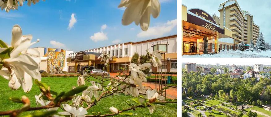 Скриншот 11-11-2025 182239