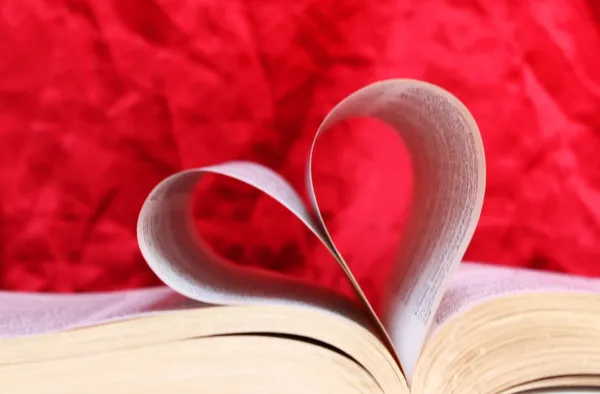depositphotos_4271064-stock-photo-love-book